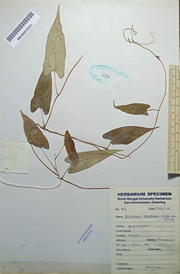 DocScanner 20 Apr 2026 1-39 pm(1)